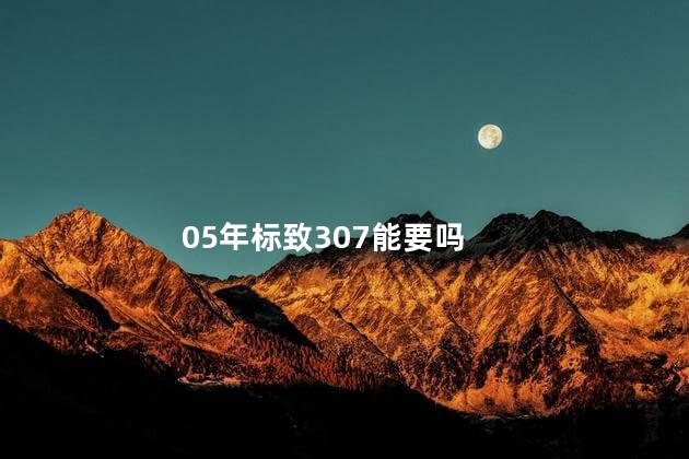 05年标致307能要吗