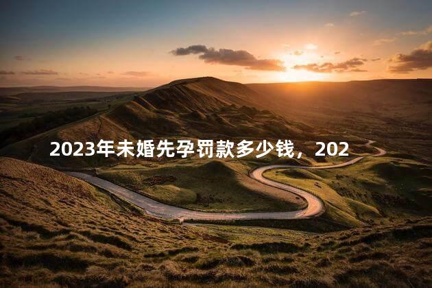 2023年未婚先孕罚款多少钱，2023年未婚先孕罚款吗