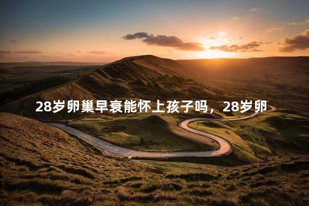 28岁卵巢早衰能怀上孩子吗，28岁卵巢早衰可以怀上孩子吗