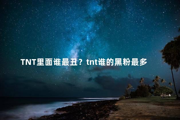 TNT里面谁最丑？tnt谁的黑粉最多
