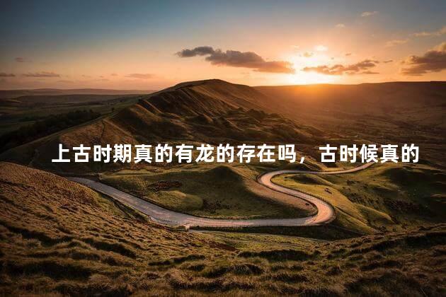 上古时期真的有龙的存在吗，古时候真的有龙存在吗