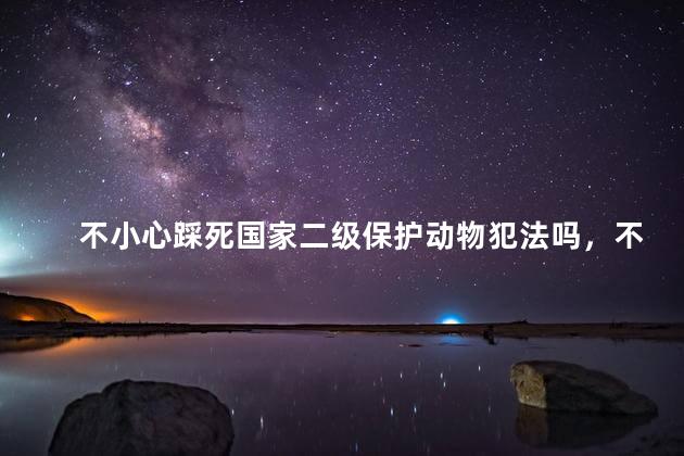 不小心踩死国家二级保护动物犯法吗，不小心踩死国家二级保护动物怎么办