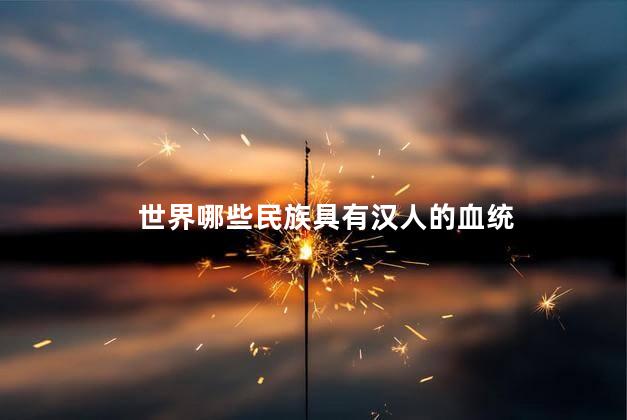 世界哪些民族具有汉人的血统，哪些国家有汉族人