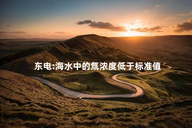 东电:海水中的氚浓度低于标准值 海水中有氚吗