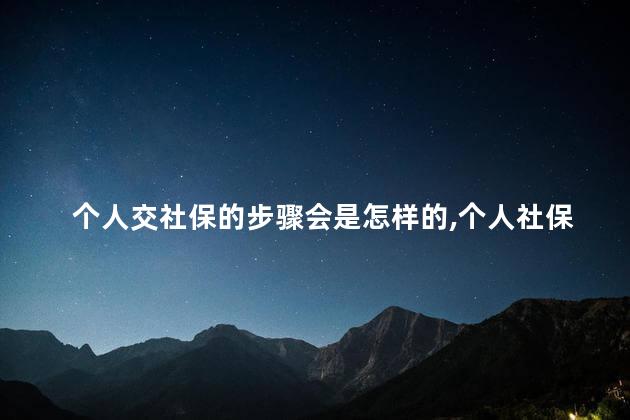 个人交社保的步骤会是怎样的，个人社保怎么交