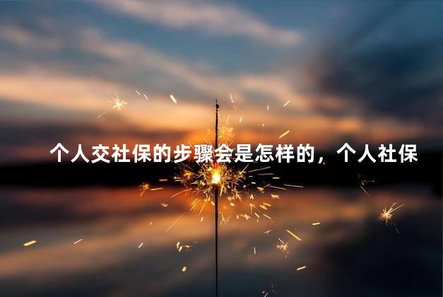 个人交社保的步骤会是怎样的，个人社保怎么交