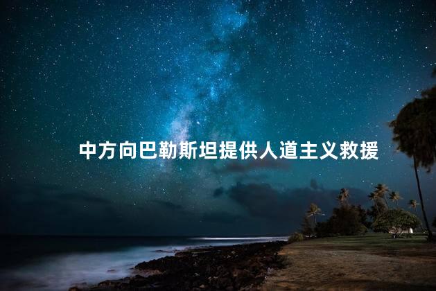 中方向巴勒斯坦提供人道主义救援 中国将继续向巴方提供人道援助