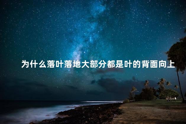 为什么落叶落地大部分都是叶的背面向上，落叶落地大部分都是叶的背面向上是什么原理