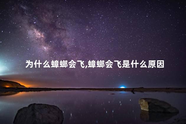 为什么蟑螂会飞，蟑螂会飞是什么原因