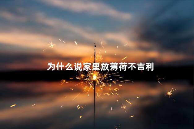 为什么说家里放薄荷不吉利，在家里放薄荷真的不吉利