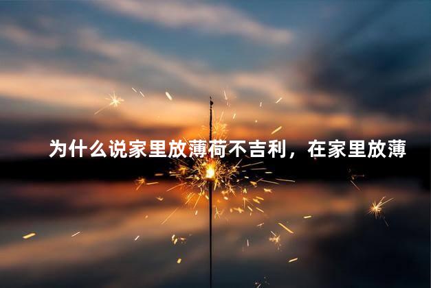为什么说家里放薄荷不吉利，在家里放薄荷真的不吉利