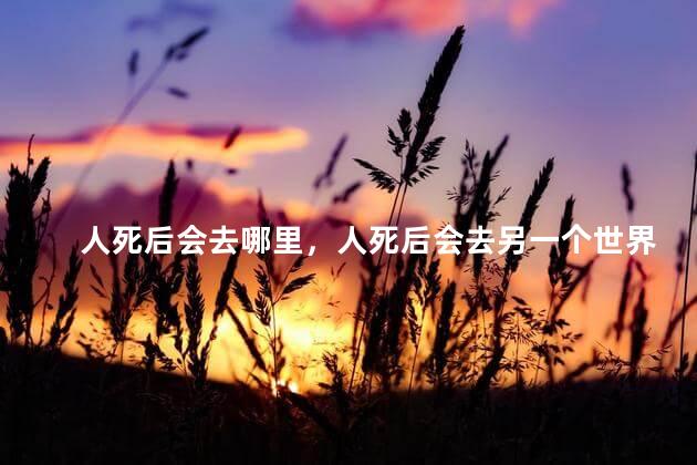 人死后会去哪里，人死后会去另一个世界吗