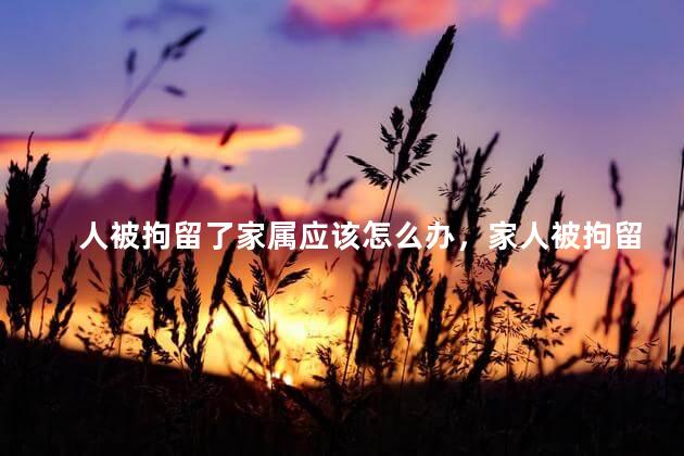 人被拘留了家属应该怎么办，家人被拘留家属应该怎么做