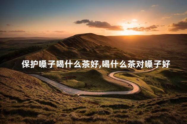 保护嗓子喝什么茶好，喝什么茶对嗓子好