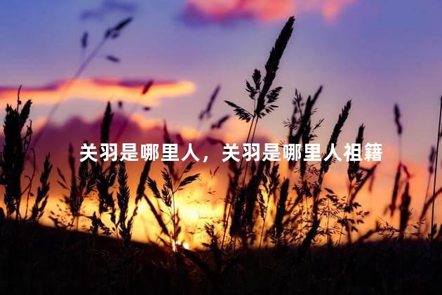 关羽是哪里人，关羽是哪里人祖籍