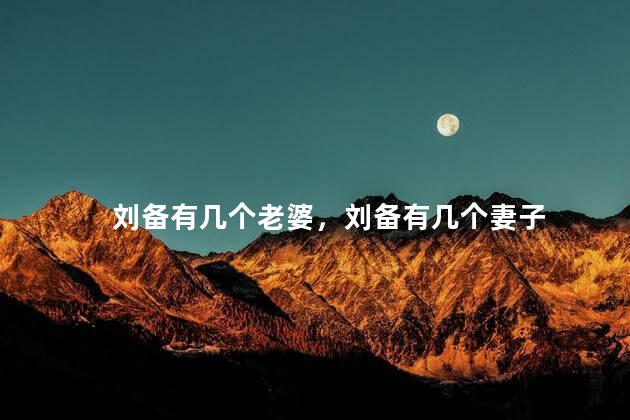 刘备有几个老婆，刘备有几个妻子