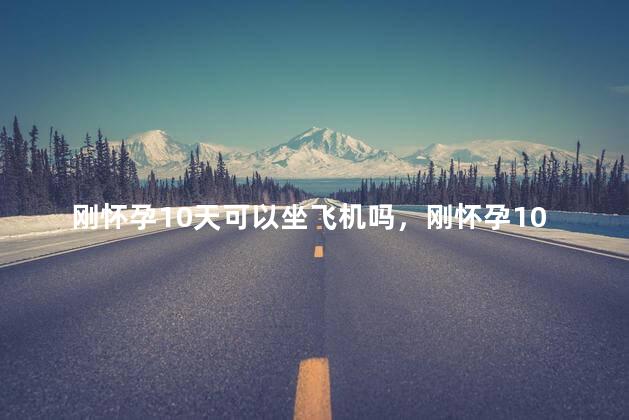 刚怀孕10天可以坐飞机吗，刚怀孕10天能坐飞机吗
