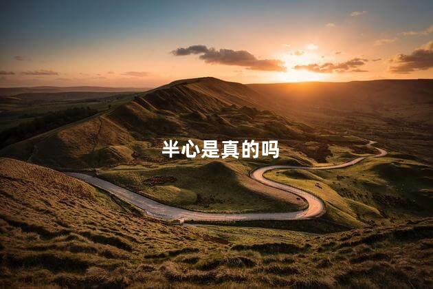 半心是真的吗