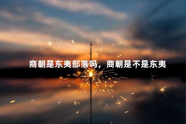 商朝是东夷部落吗，商朝是不是东夷
