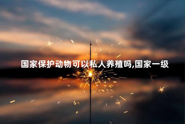 国家保护动物可以私人养殖吗，国家一级保护动物允许私人养殖吗