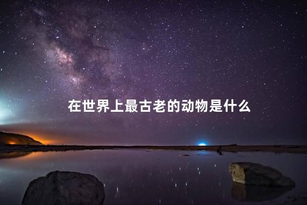 在世界上最古老的动物是什么，在世界上最古老的动物是谁