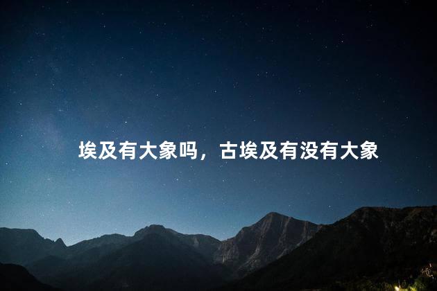 埃及有大象吗，古埃及有没有大象