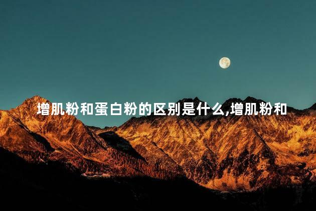 增肌粉和蛋白粉的区别是什么，增肌粉和蛋白粉有什么区别？