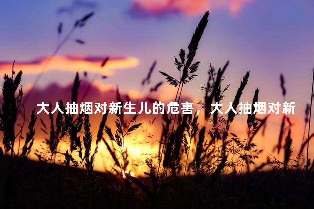 大人抽烟对新生儿的危害，大人抽烟对新生儿有什么危害