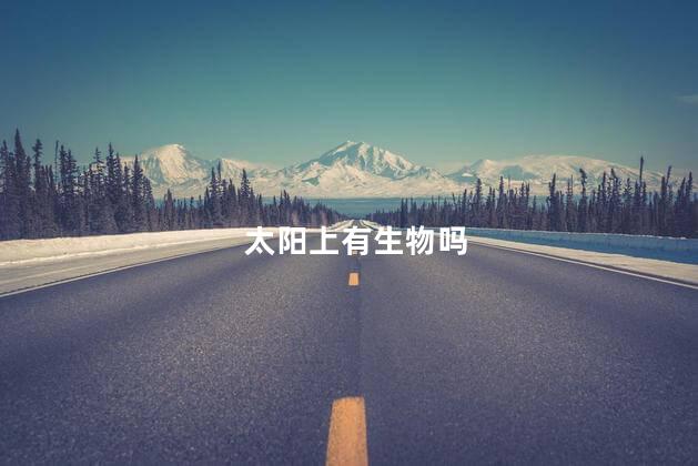 太阳上有生物吗，太阳上有没有生物