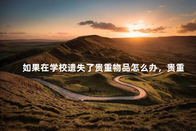 如果在学校遗失了贵重物品怎么办，贵重物品丢失在学校的话怎么办