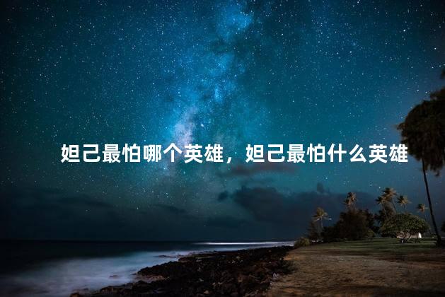 妲己最怕哪个英雄，妲己最怕什么英雄