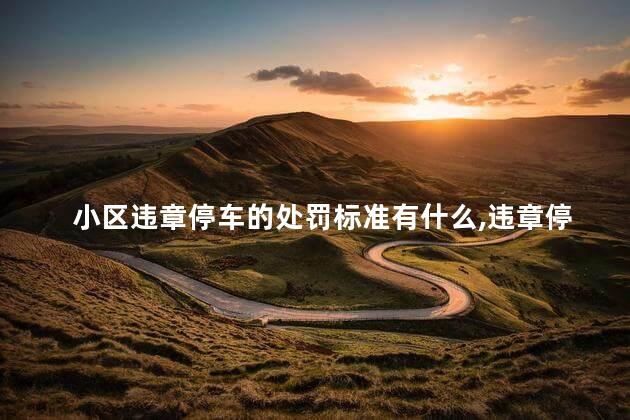 小区违章停车的处罚标准有什么，违章停车处罚标准是什么
