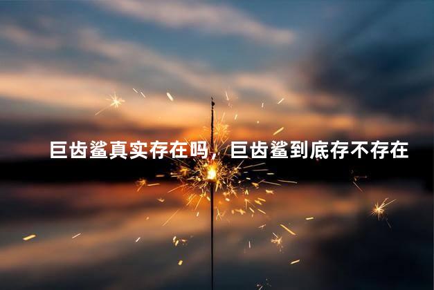 巨齿鲨真实存在吗，巨齿鲨到底存不存在