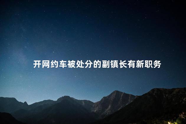开网约车被处分的副镇长有新职务