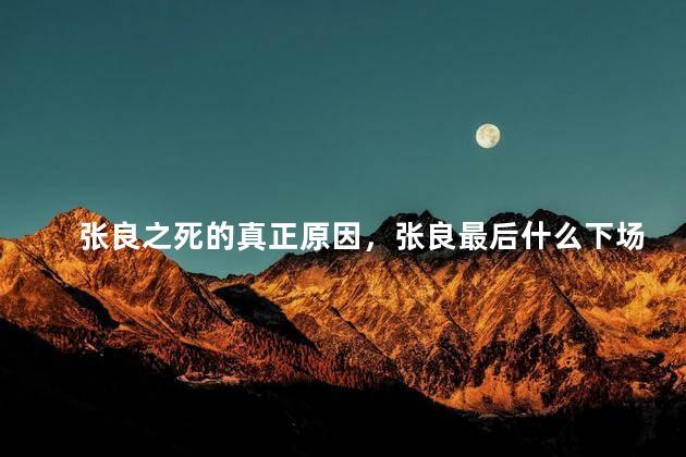 张良之死的真正原因，张良最后什么下场