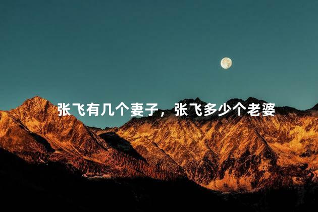 张飞有几个妻子，张飞多少个老婆