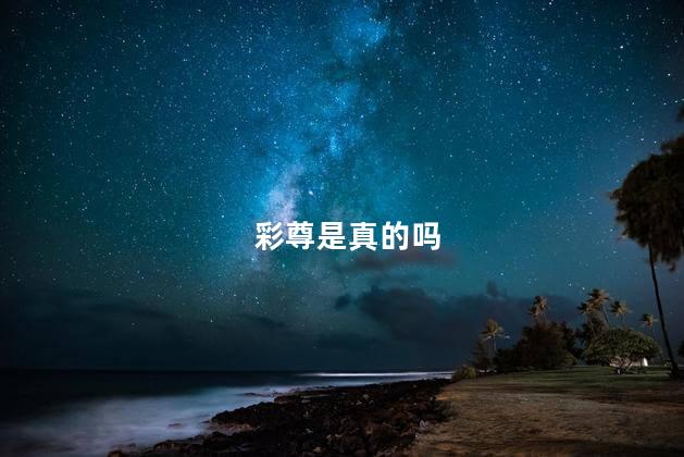 彩尊是真的吗