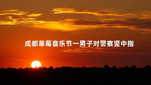 成都草莓音乐节一男子对警察竖中指