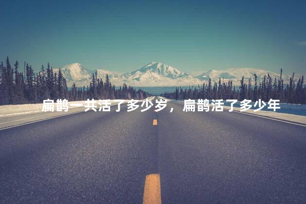 扁鹊一共活了多少岁，扁鹊活了多少年