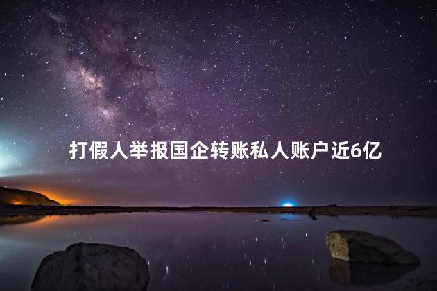 打假人举报国企转账私人账户近6亿 国企做假账后果