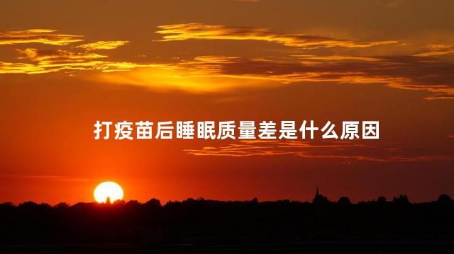 打疫苗后睡眠质量差是什么原因，打疫苗后睡眠质量差的原因是什么