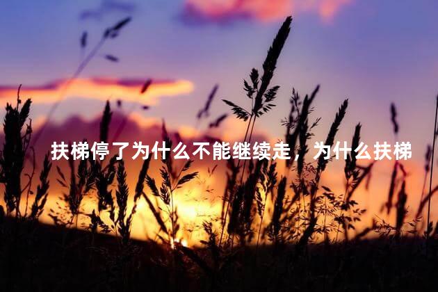 扶梯停了为什么不能继续走，为什么扶梯停了不能动