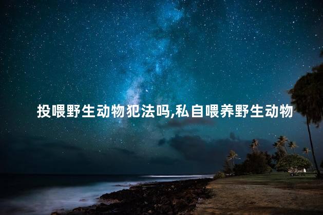 投喂野生动物犯法吗，私自喂养野生动物是否合法