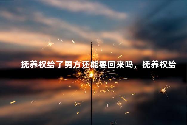 抚养权给了男方还能要回来吗，抚养权给了男方还可以要回来吗