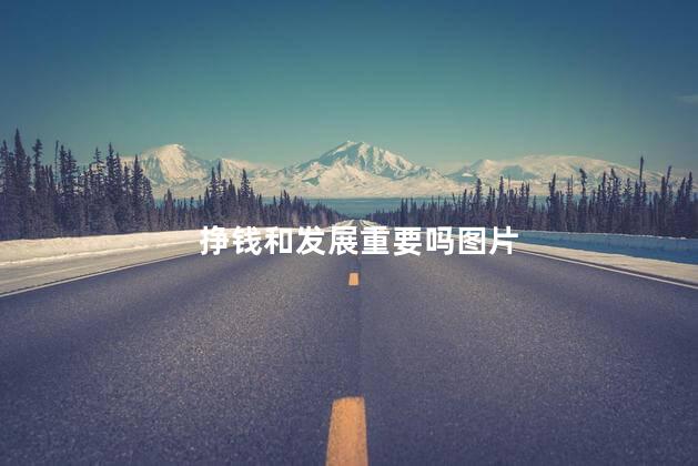 挣钱和发展重要吗图片