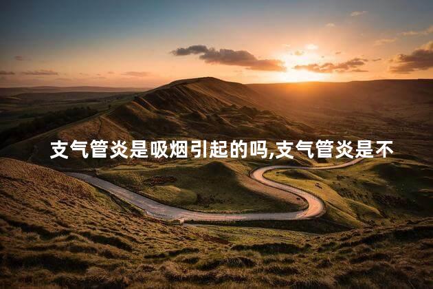 支气管炎是吸烟引起的吗,支气管炎是不是吸烟引起的