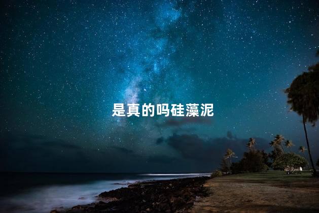 是真的吗硅藻泥