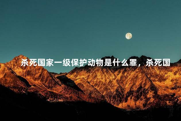 杀死国家一级保护动物是什么罪，杀死国家一级保护动物属于什么罪