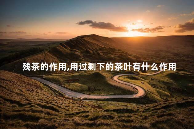 残茶的作用，用过剩下的茶叶有什么作用