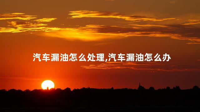 汽车漏油怎么处理，汽车漏油怎么办